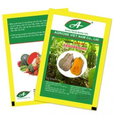 Bí hạt đậu F1 TIÊN VÂN A666 